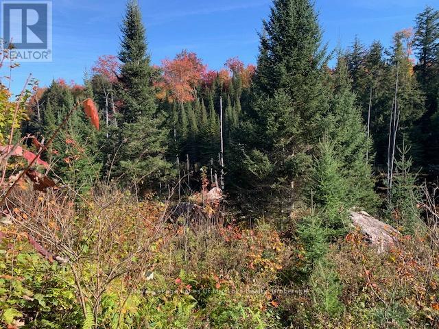 0 Sugar Bush Road E Property Photo 20