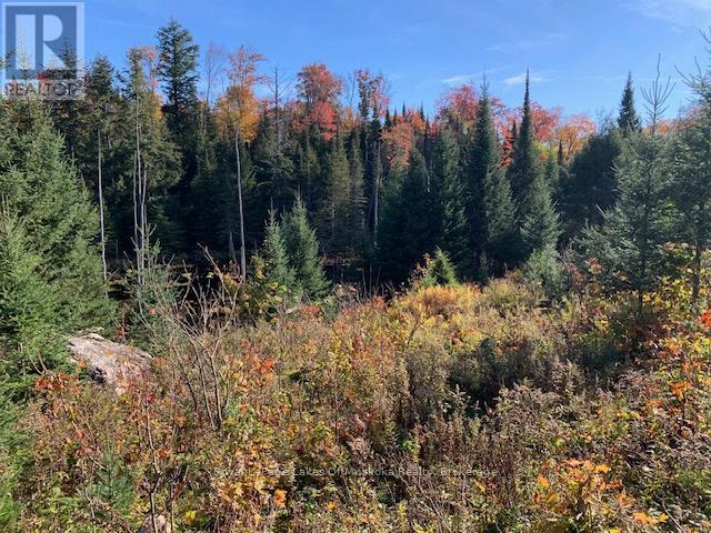 0 Sugar Bush Road E Property Photo 21