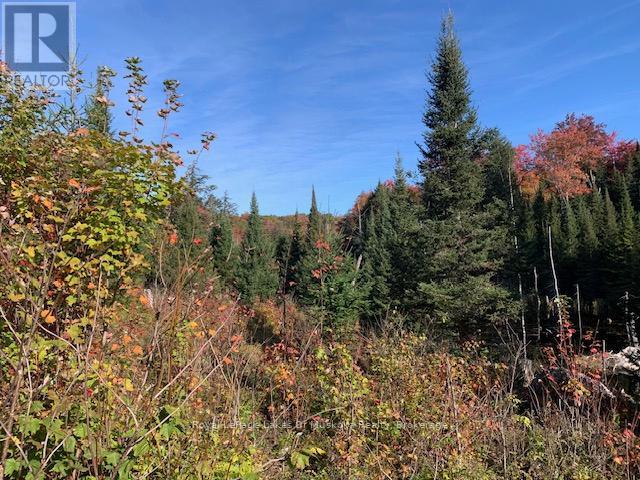 0 Sugar Bush Road E Property Photo 22