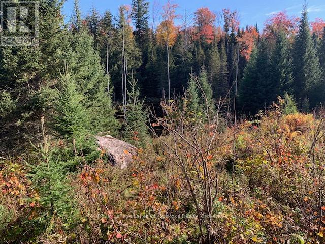 0 Sugar Bush Road E Property Photo 23