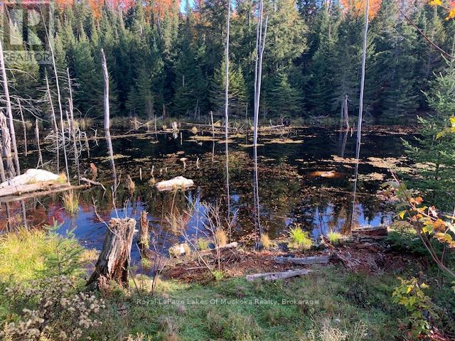 0 Sugar Bush Road E Property Photo 24