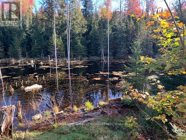 0 Sugar Bush Road E Property Photo 26