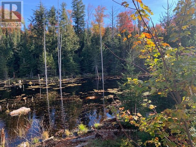 0 Sugar Bush Road E Property Photo 28