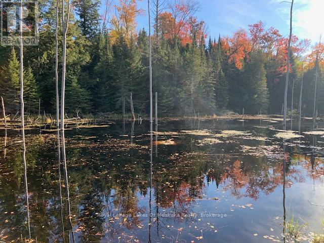 0 Sugar Bush Road E Property Photo 30