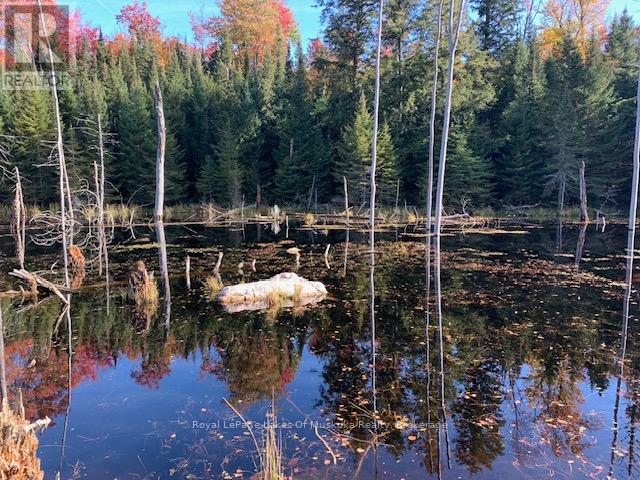 0 Sugar Bush Road E Property Photo 31