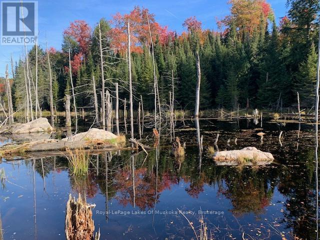 0 Sugar Bush Road E Property Photo 32