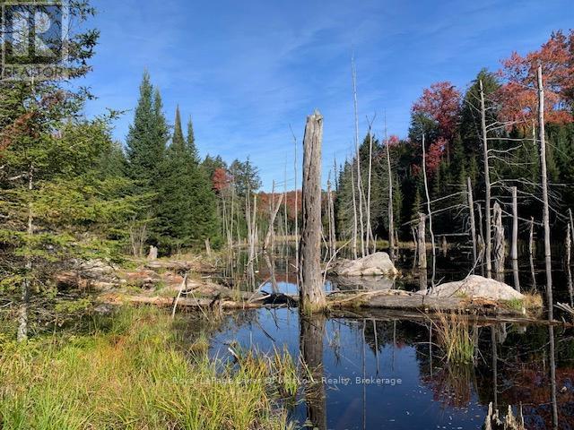 0 Sugar Bush Road E Property Photo 33