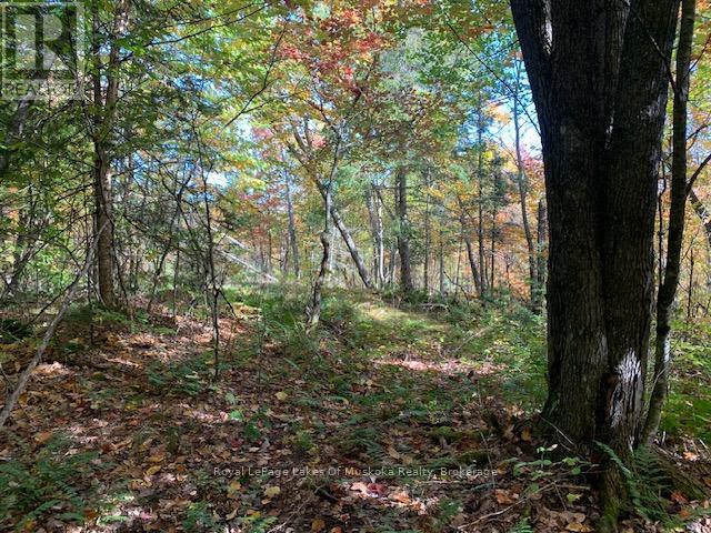0 Sugar Bush Road E Property Photo 34