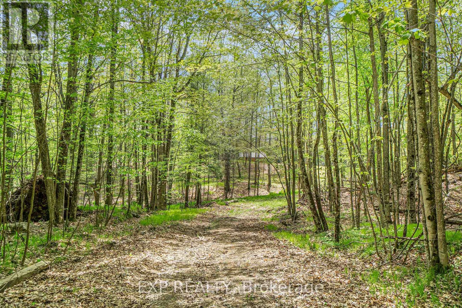 132 Old Mine Road Property Photo 10