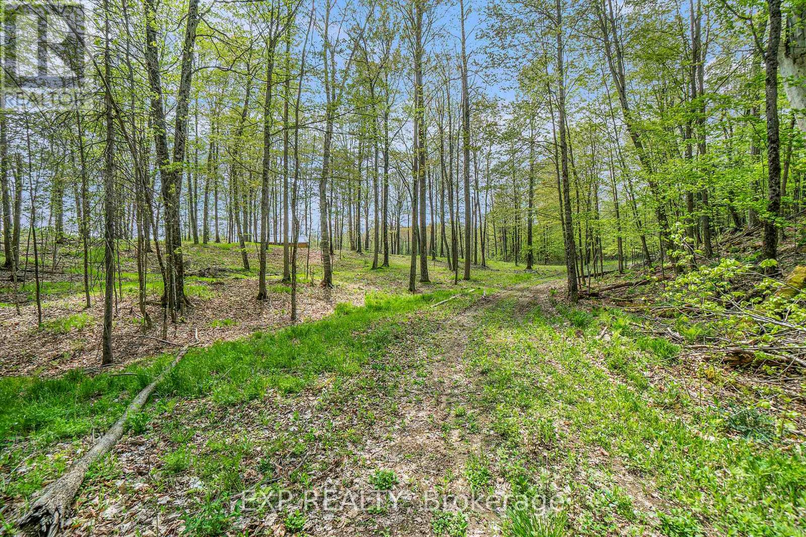 132 Old Mine Road Property Photo 11