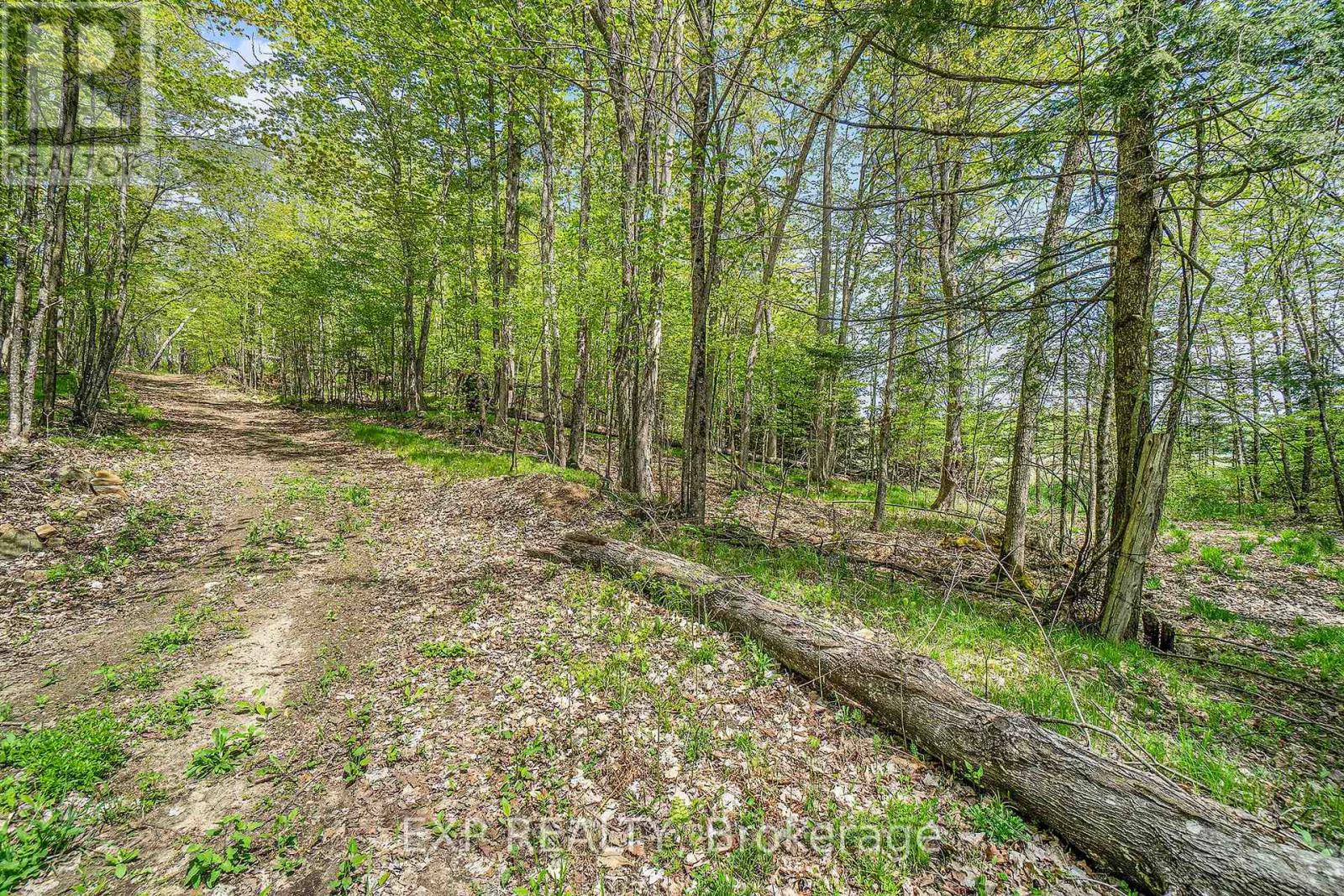 132 Old Mine Road Property Photo 12