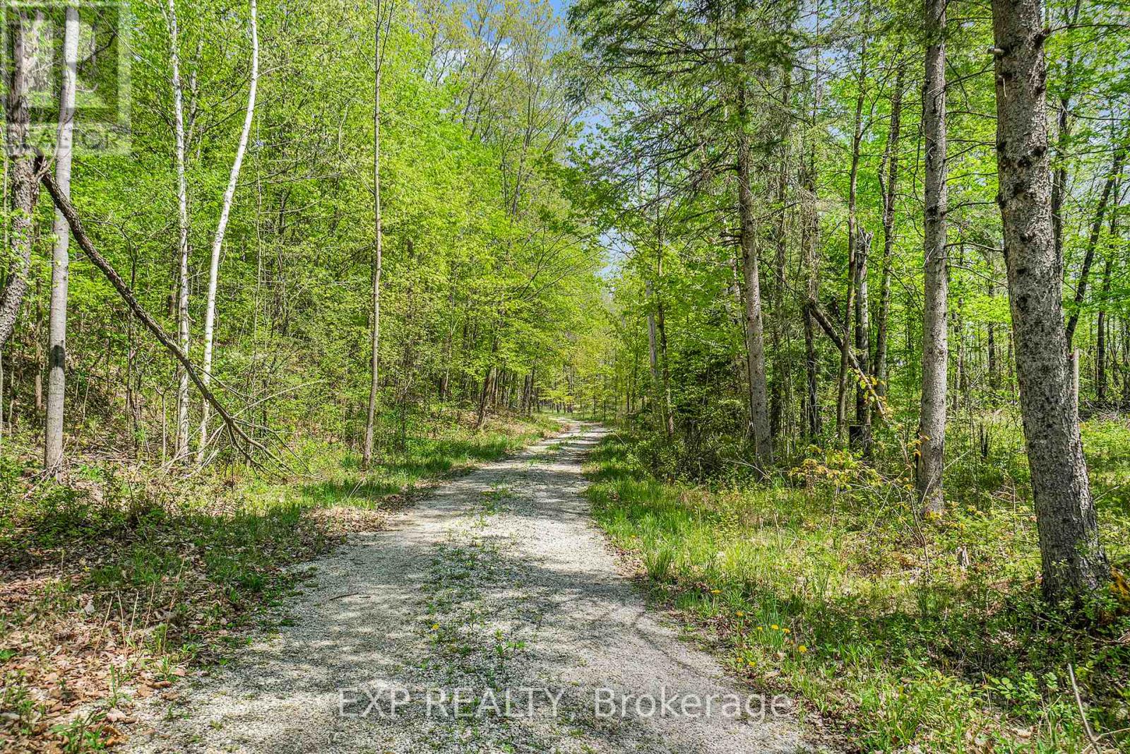 132 Old Mine Road Property Photo 14