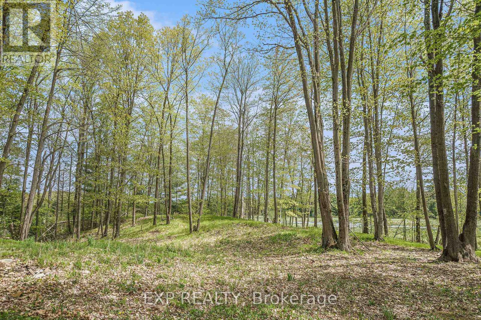 132 Old Mine Road Property Photo 17