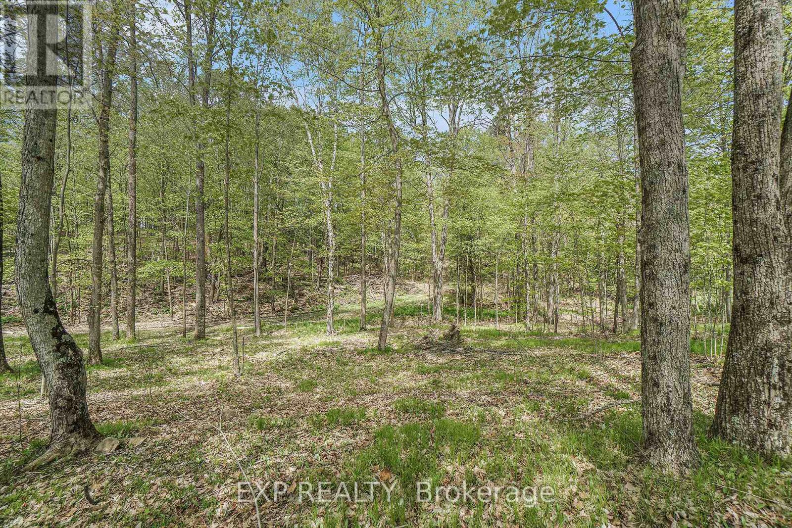132 Old Mine Road Property Photo 18