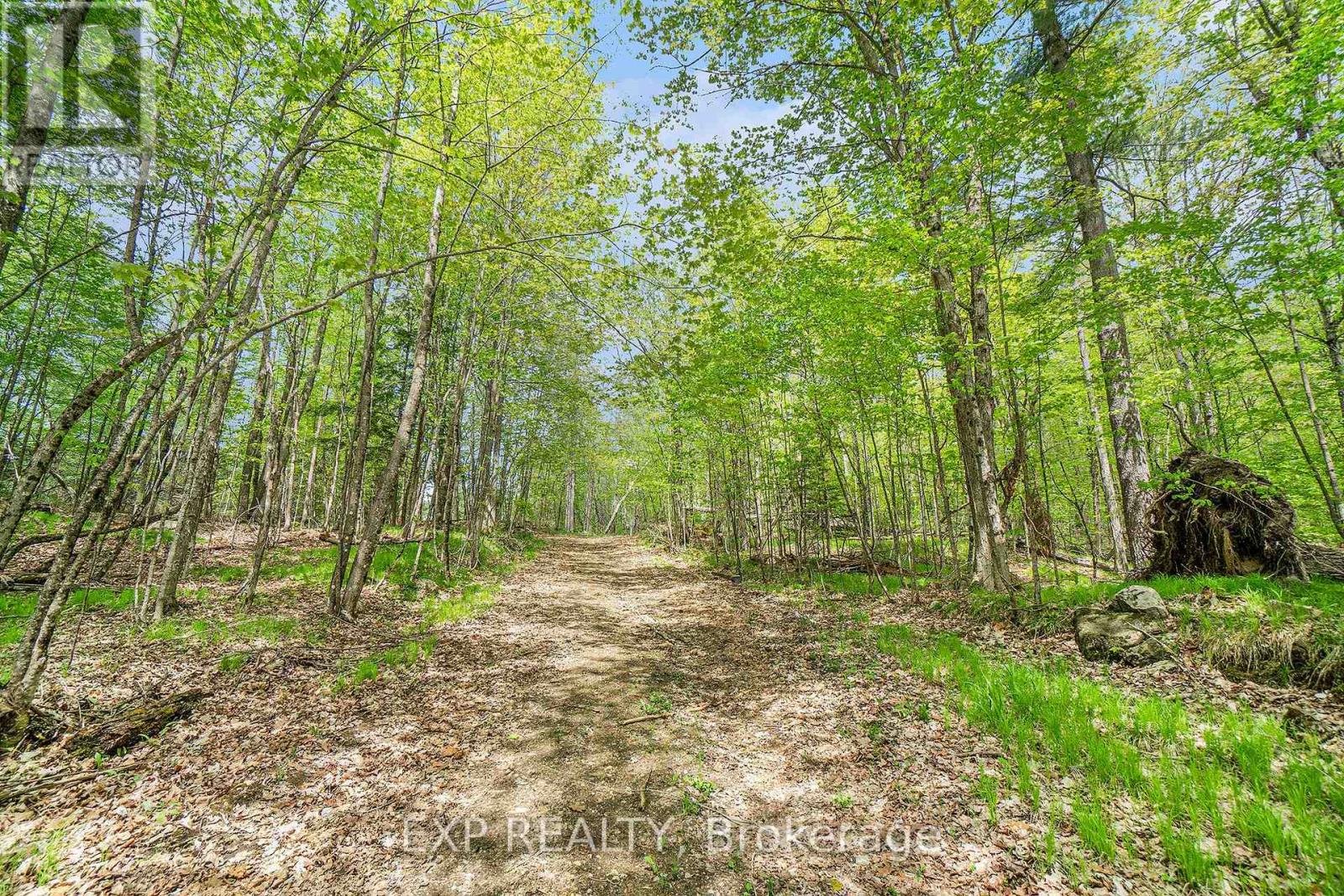 132 Old Mine Road Property Photo 19