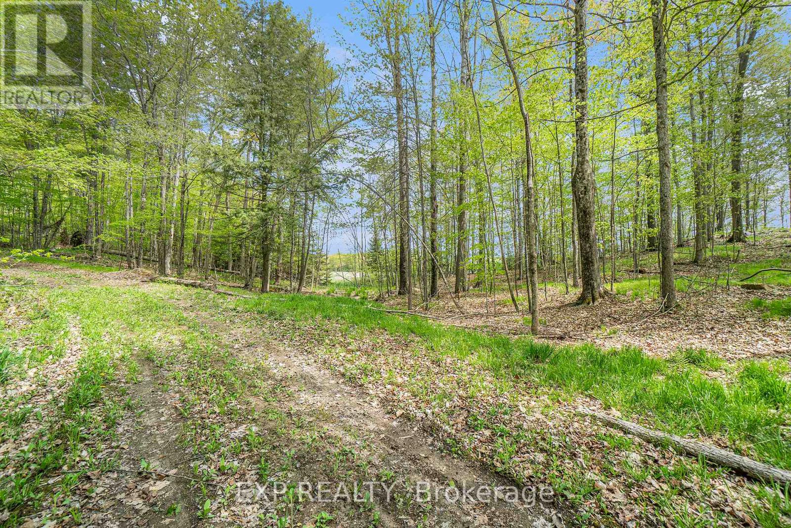 132 Old Mine Road Property Photo 21