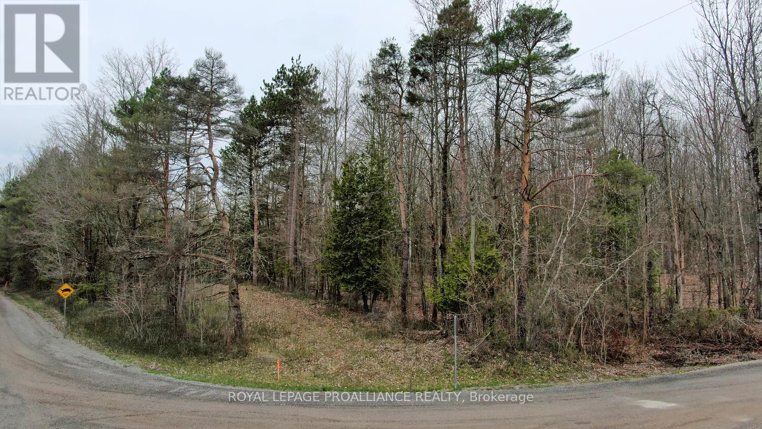 0 Haggart Side Road Property Photo 3
