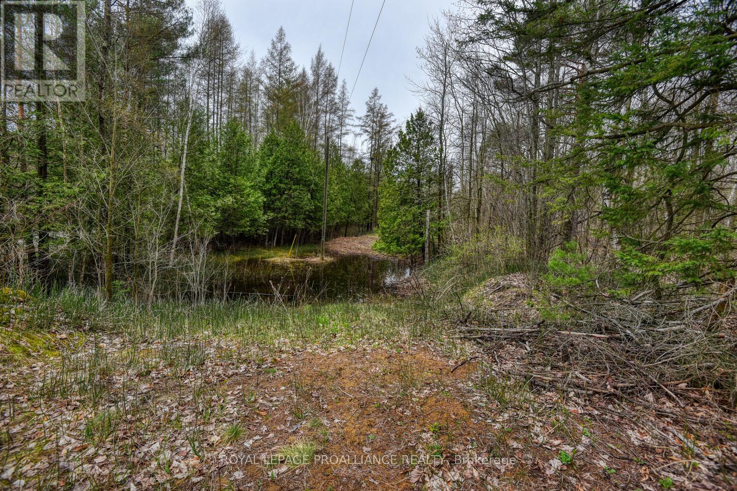 0 Haggart Side Road Property Photo 6