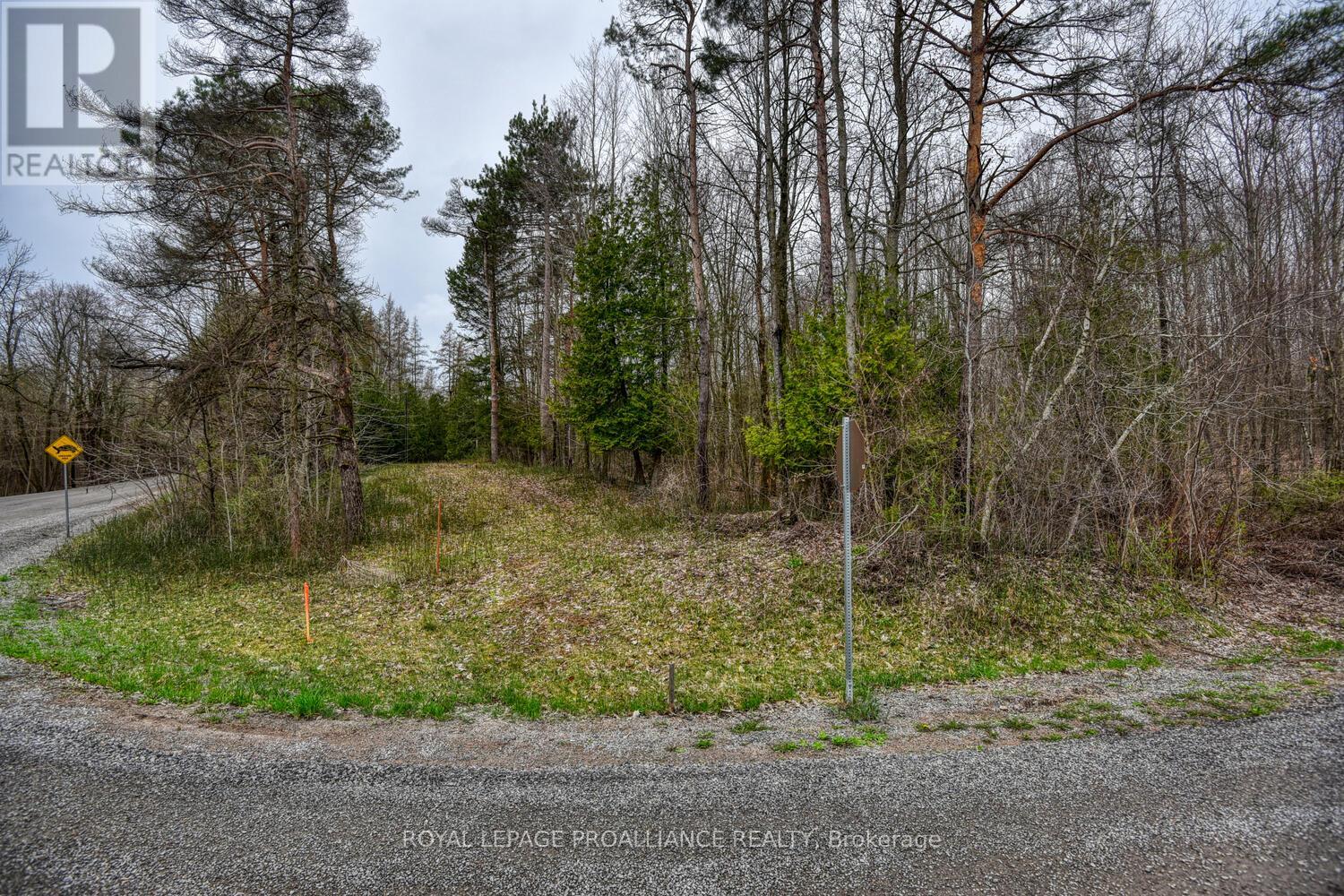 0 Haggart Side Road Property Photo 7