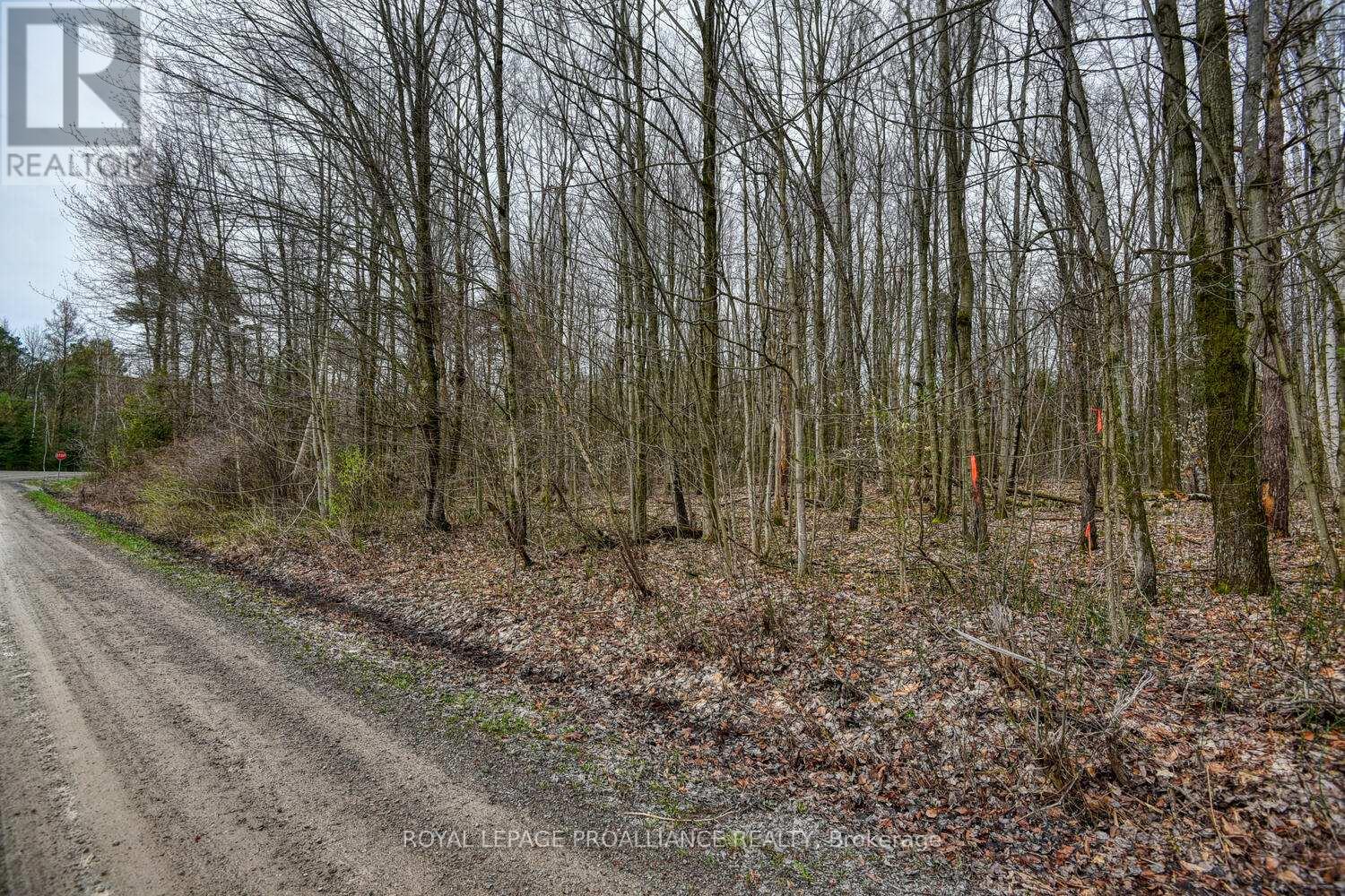 0 Haggart Side Road Property Photo 8