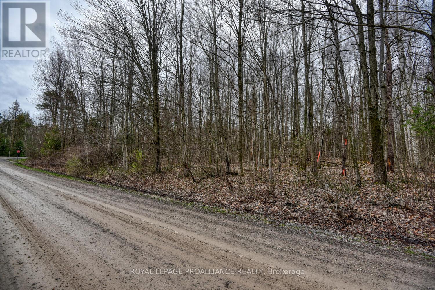 0 Haggart Side Road Property Photo 10