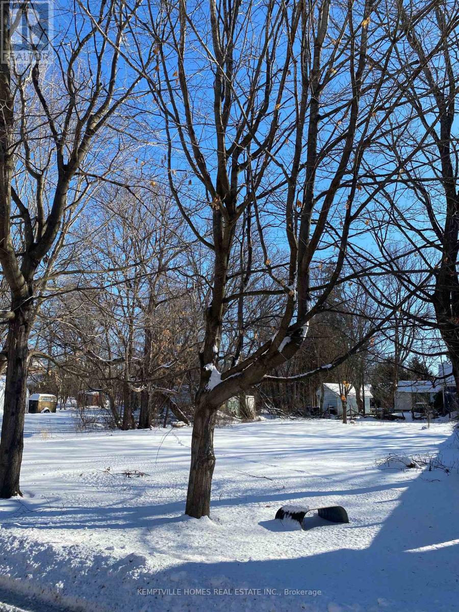 114 Lewis Street W Property Photo 2