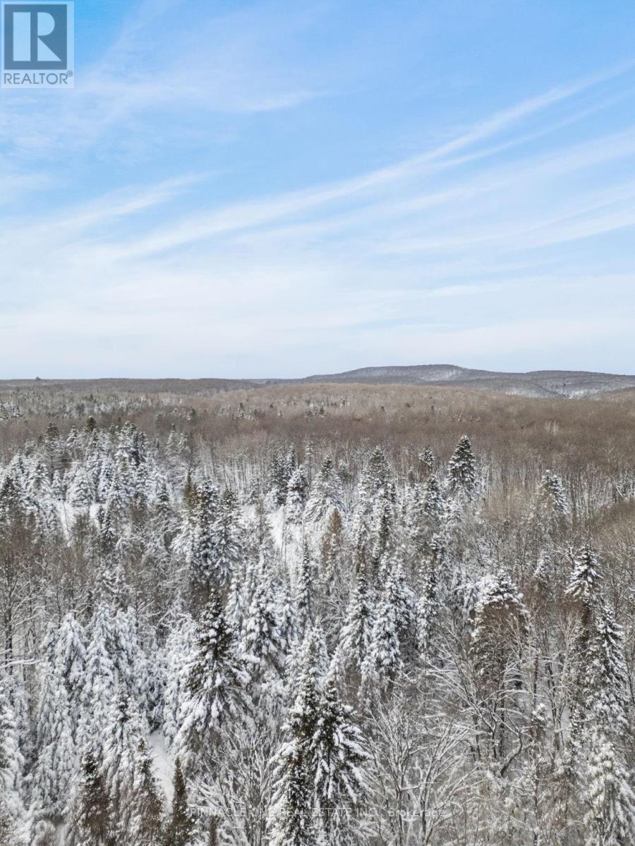 12626 County Rd 503 Road Property Photo 5