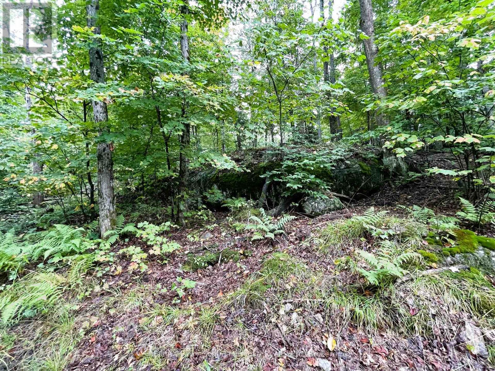 75 Granite Dr Property Photo 11