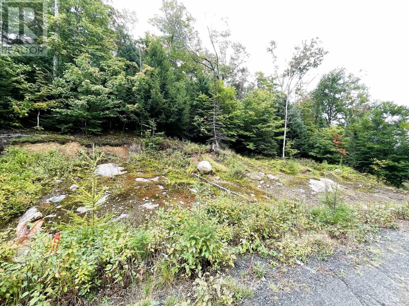 75 Granite Dr Property Photo 13