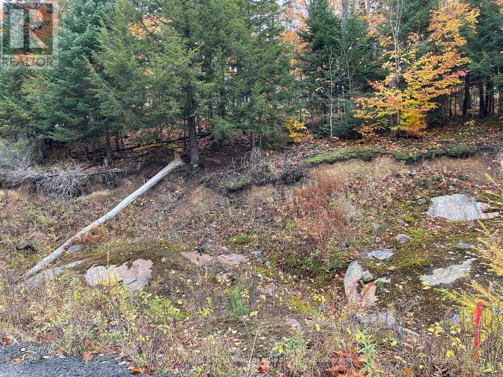 75 Granite Dr Property Photo 18
