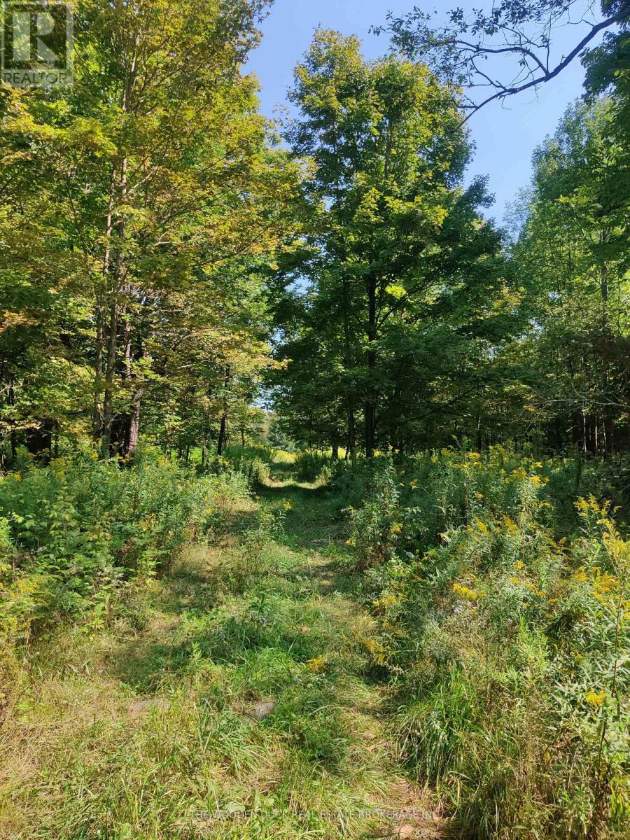 0east2 Road Allowance Road Property Photo 3