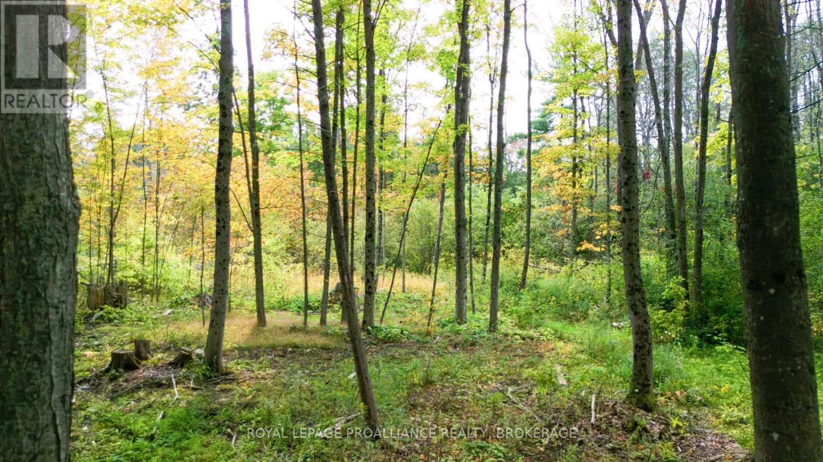 3590 Alton Rd Property Photo 2