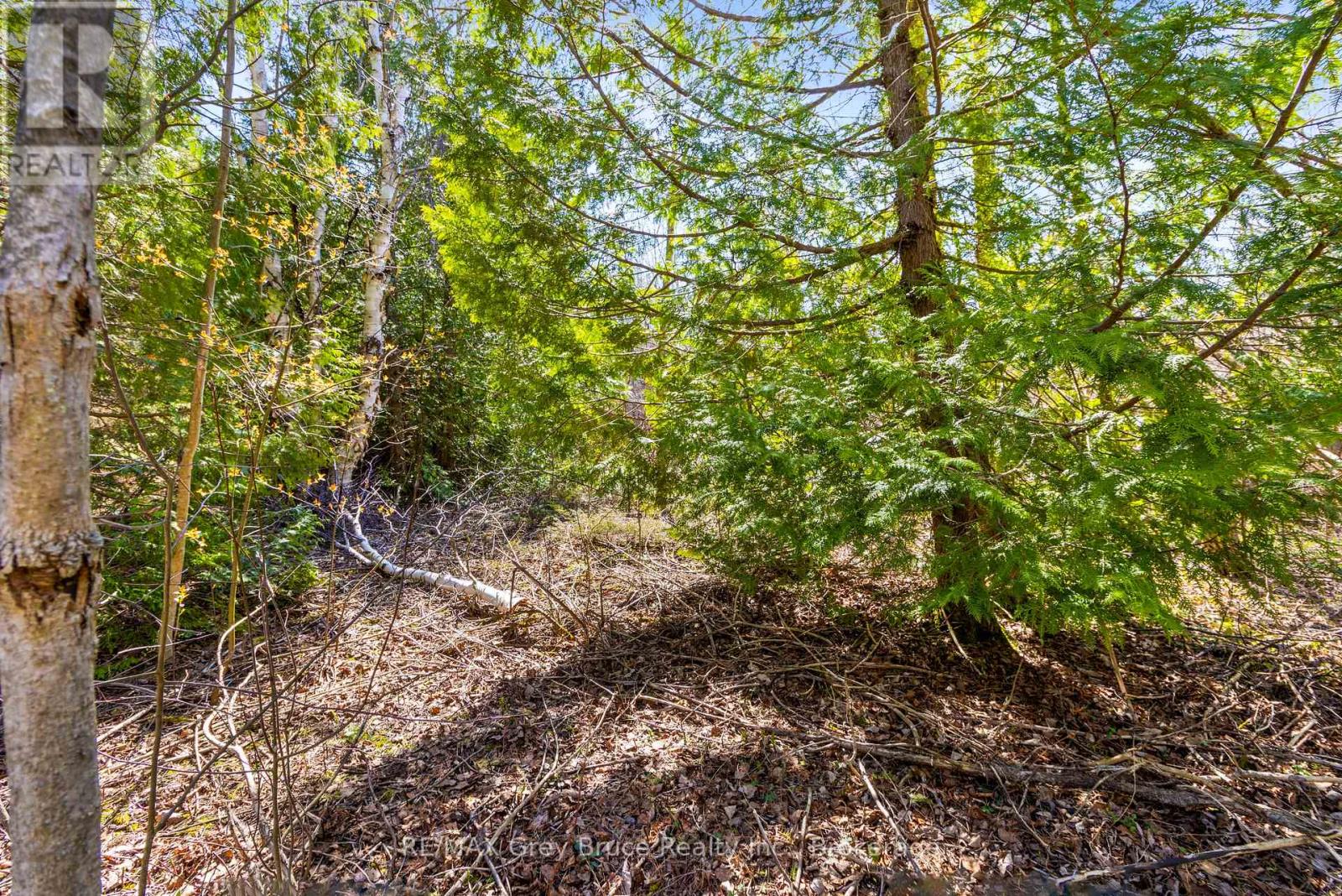 57 Maple Golf Crescent Property Photo 13