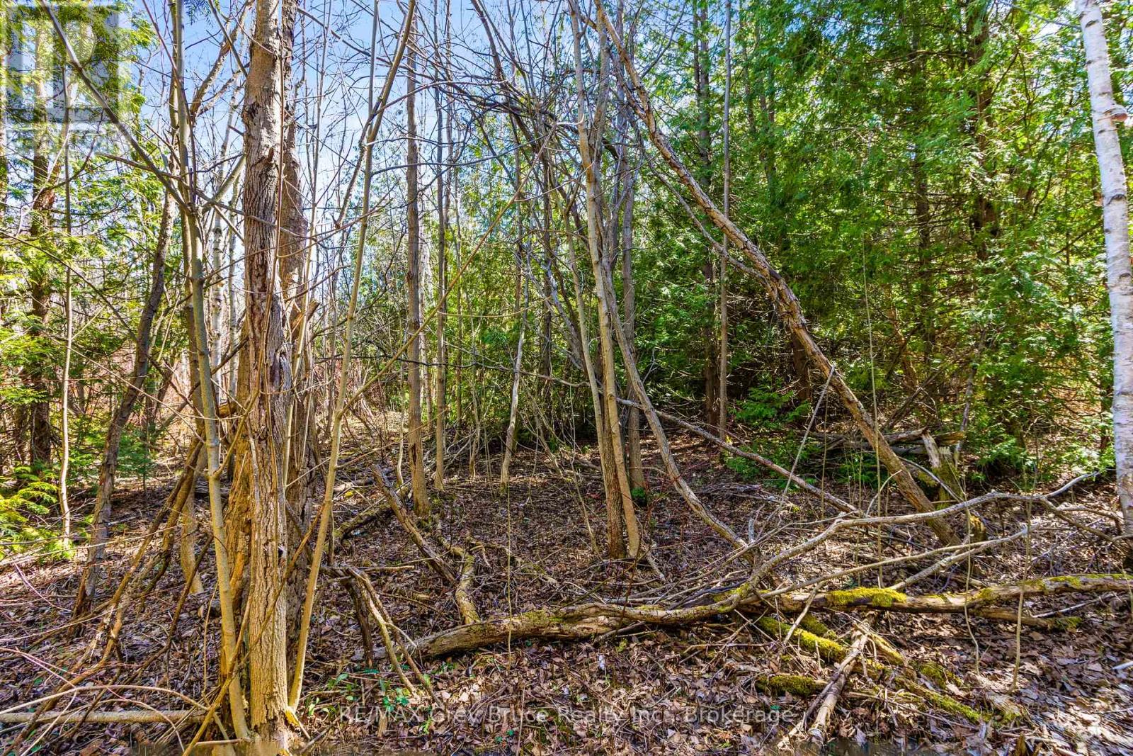 57 Maple Golf Crescent Property Photo 15