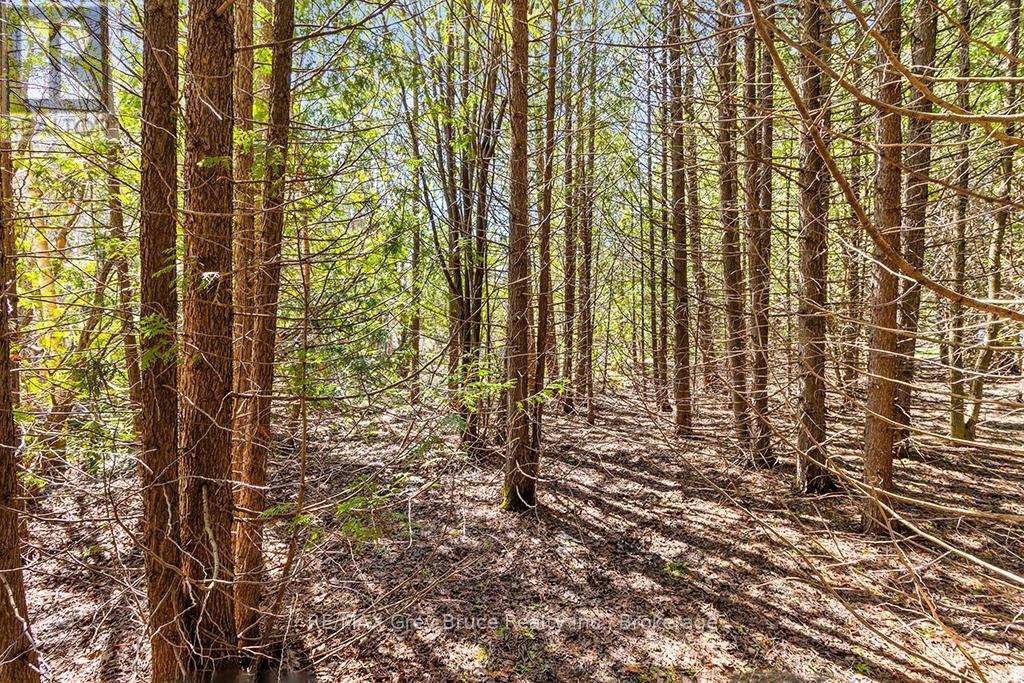 57 Maple Golf Crescent Property Photo 34