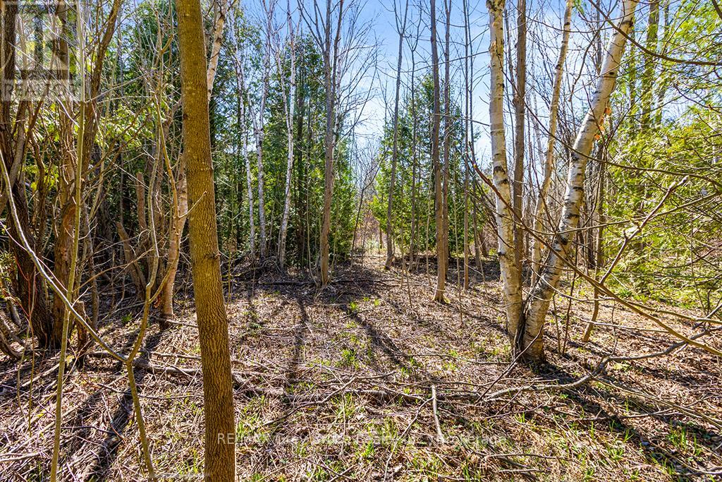 57 Maple Golf Crescent Property Photo 35