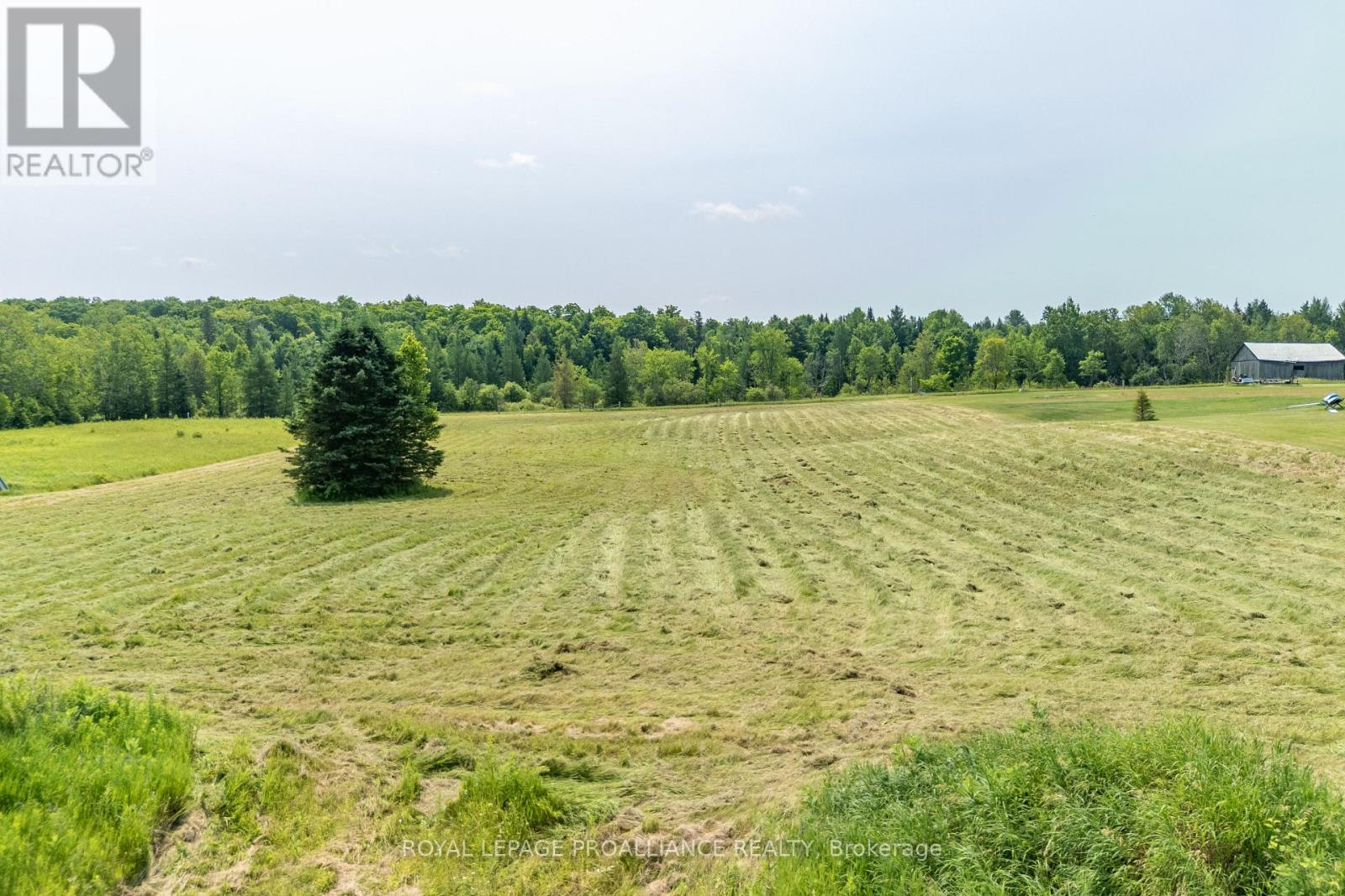 1226 Gull Lake Road Property Photo 3