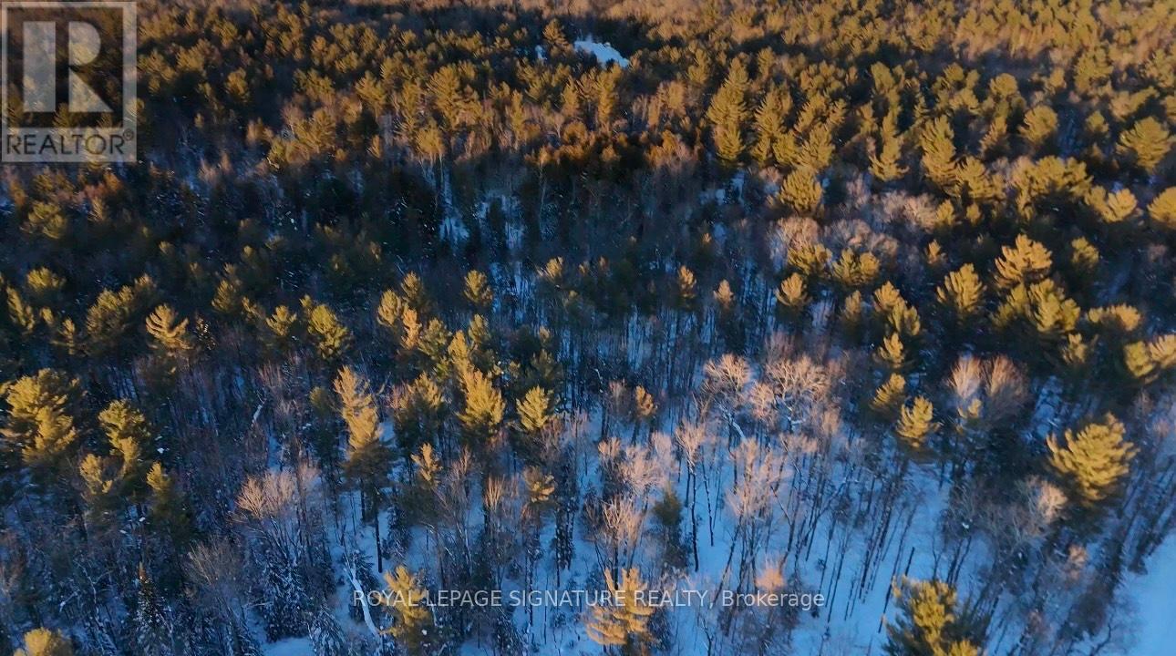 Lot 15 Con 5 Macaulay Property Photo 2