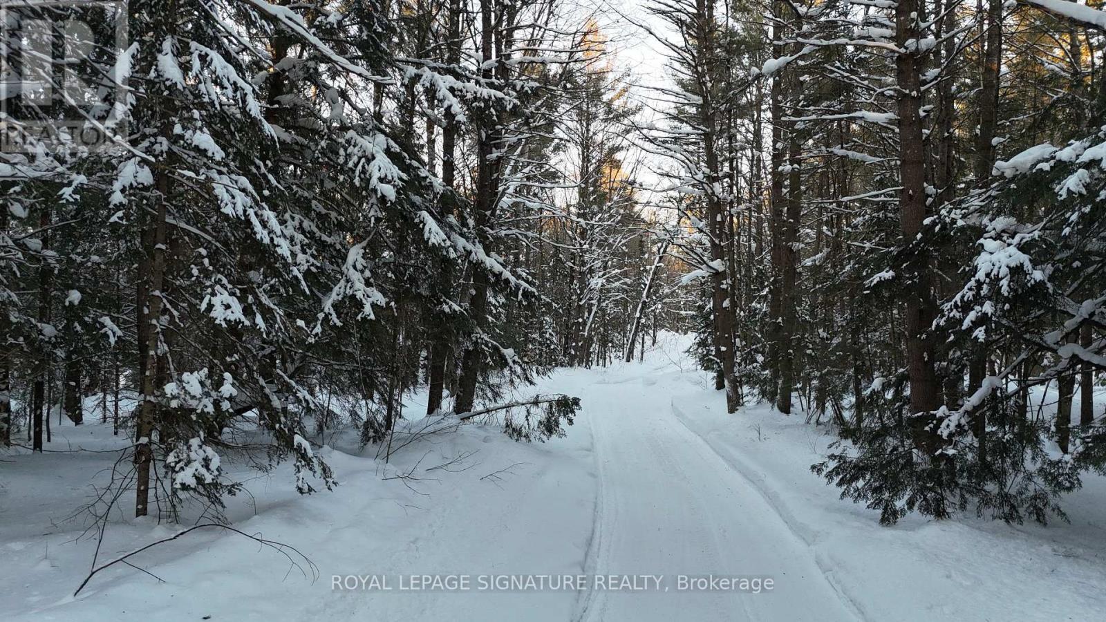 Lot 15 Con 5 Macaulay Property Photo 3