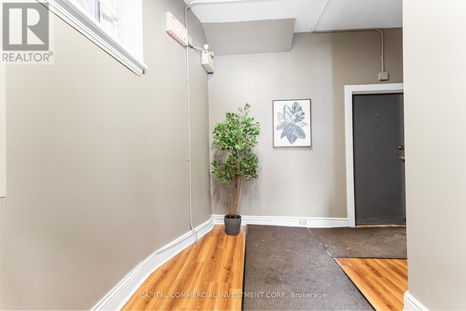 484-486 Gilmour Street Property Photo 6