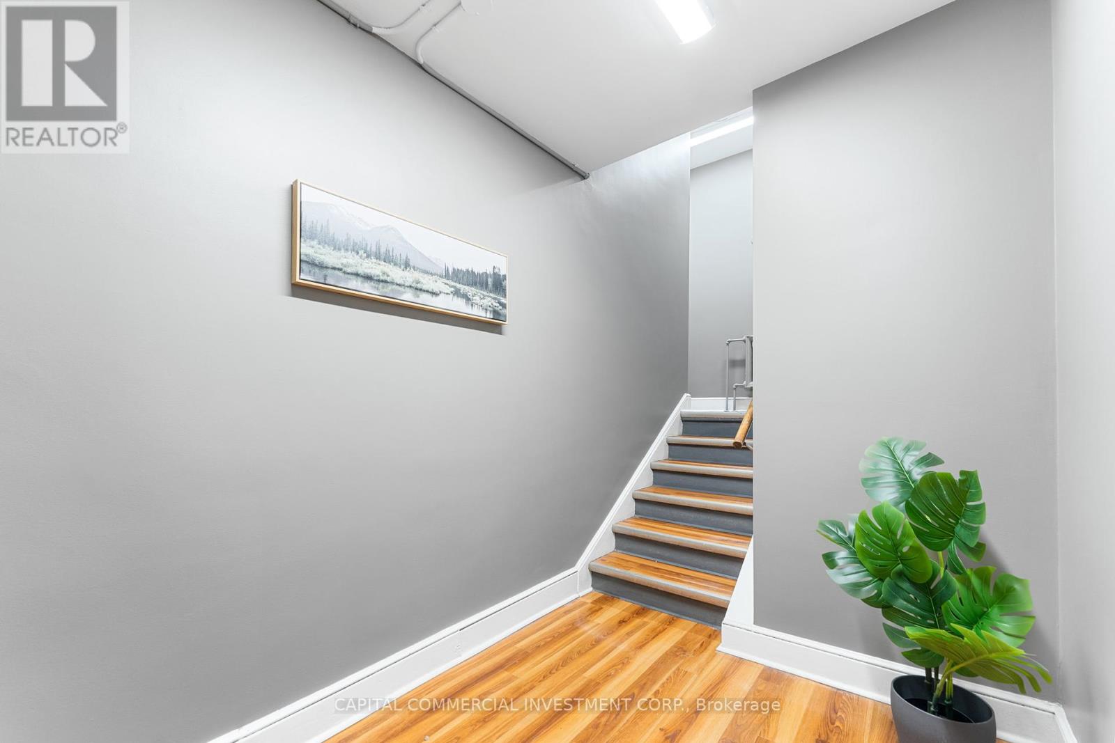 484-486 Gilmour Street Property Photo 7
