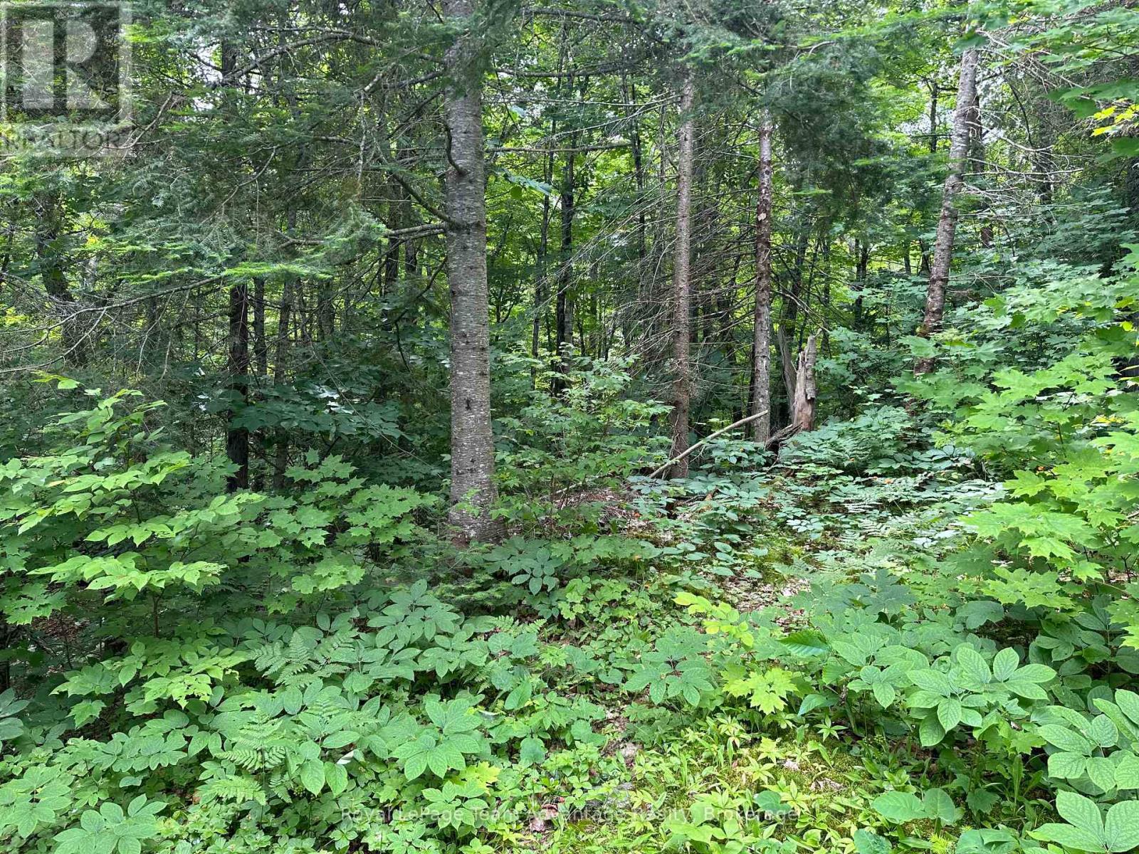 0 Whitestone Property Photo 16