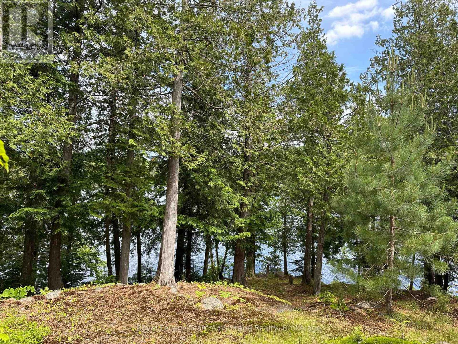 0 Whitestone Property Photo 18