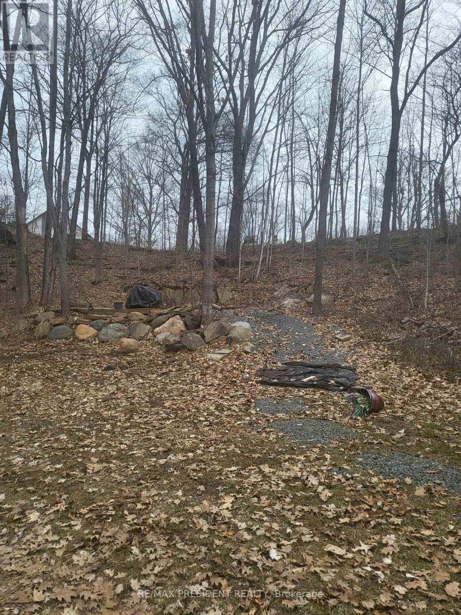 56 Fire Route Property Photo 3