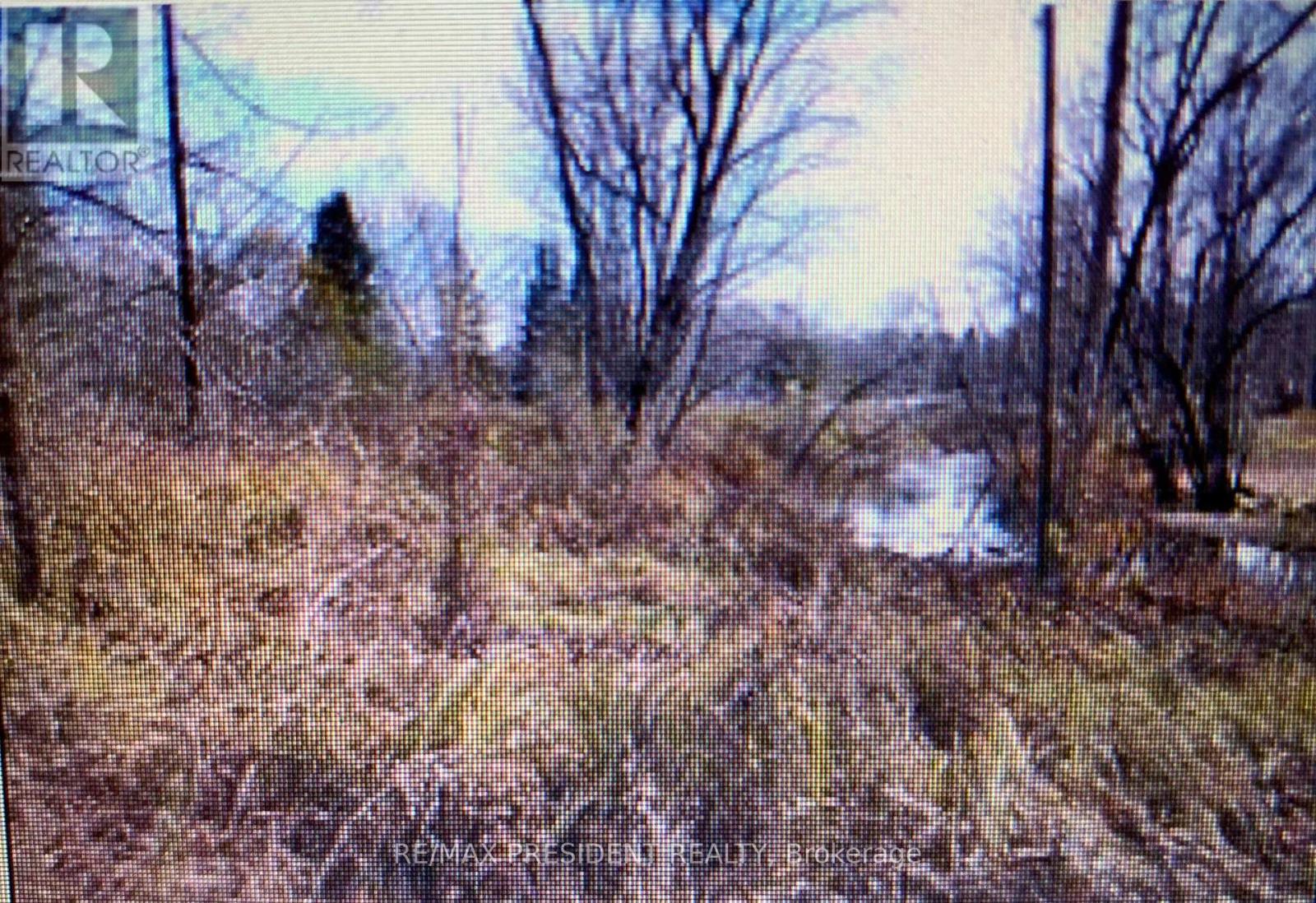 56 Fire Route Property Photo 5