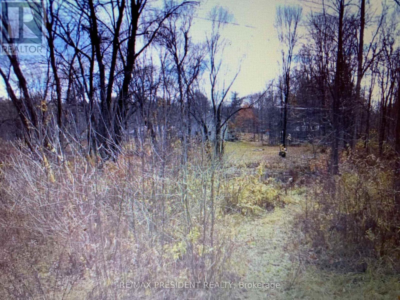 56 Fire Route Property Photo 6