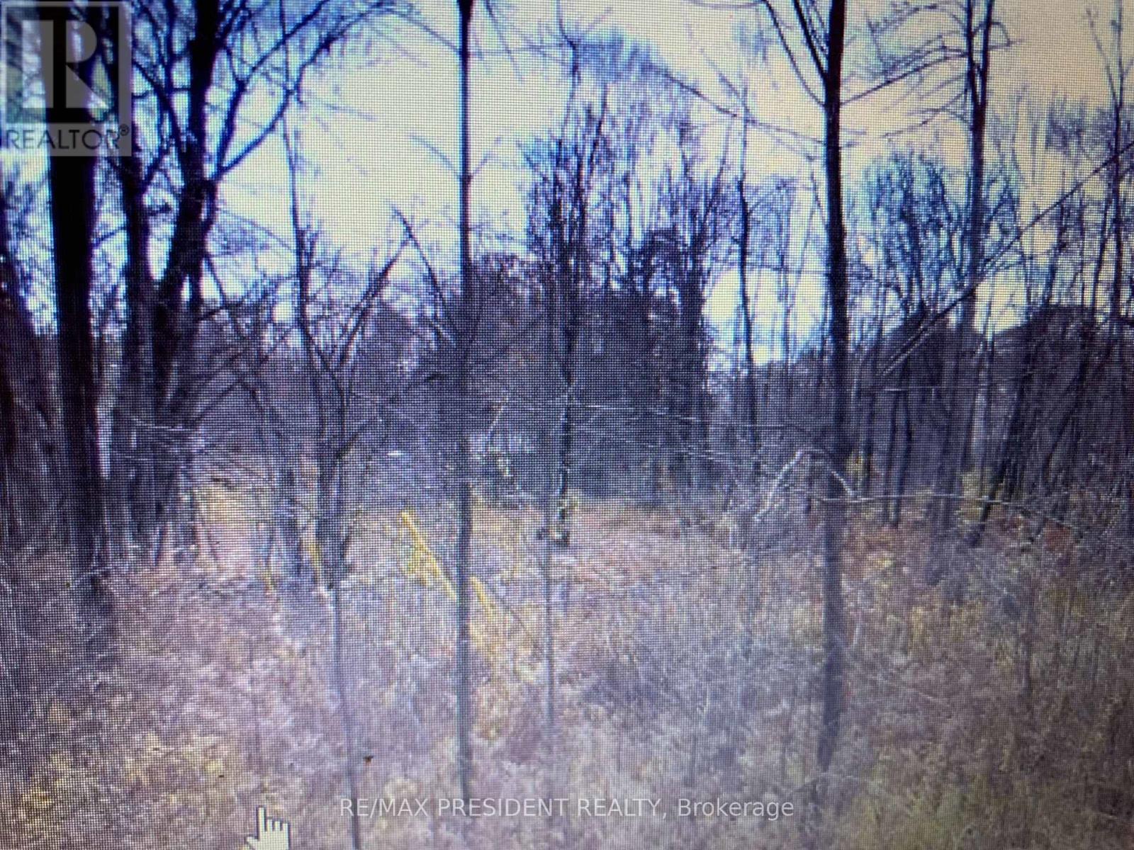56 Fire Route Property Photo 7