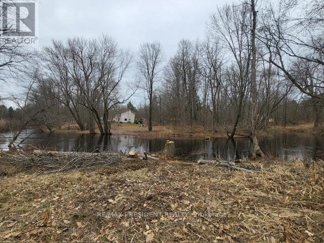 56 Fire Route Property Photo 8