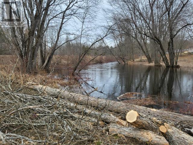 56 Fire Route Property Photo 10