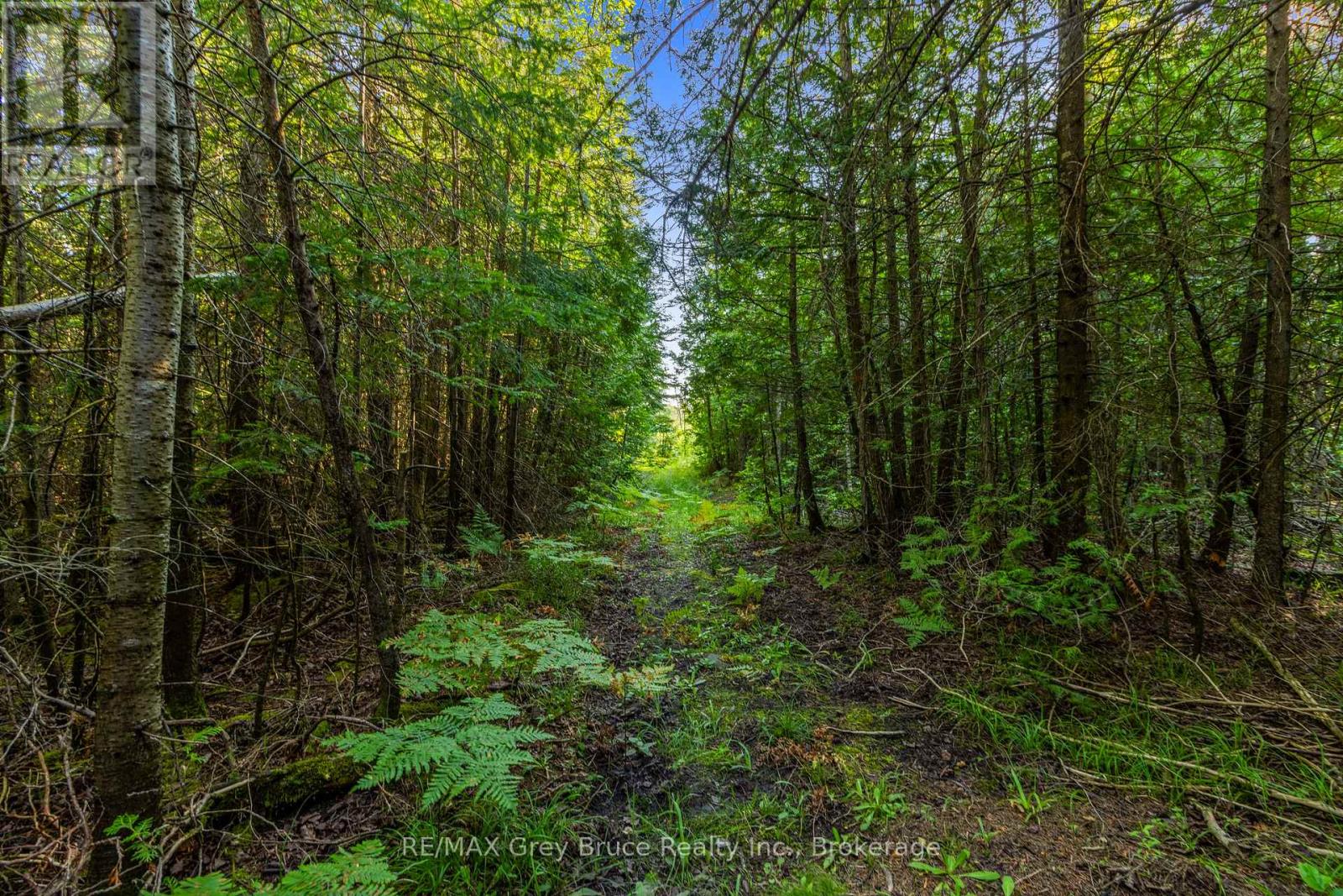 Part 10 Highway 6 Property Photo 21